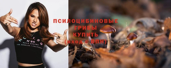герыч Инсар