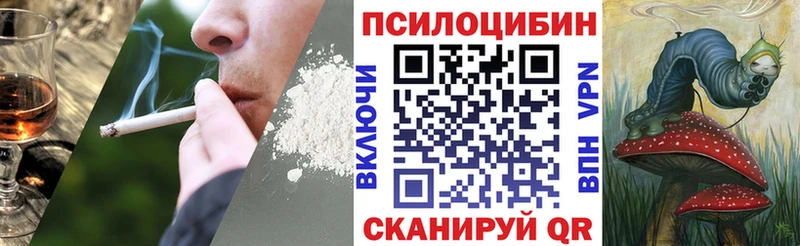 Купить где  Горячий Ключ  Псилоцибиновые грибы MAGIC MUSHROOMS 