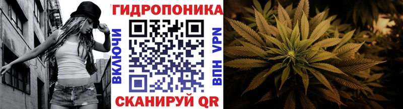 Купить закладки  Горячий Ключ  Конопля SATIVA & INDICA 